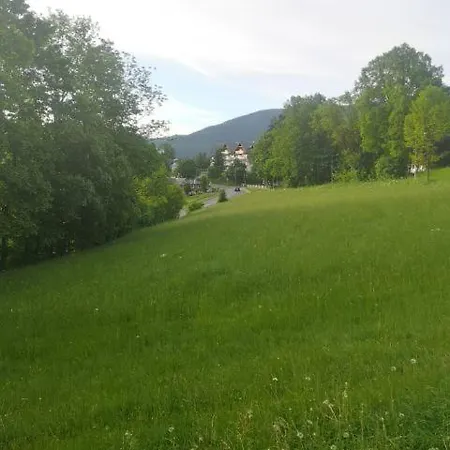 Апартаменты Pod Swiatynia Wang